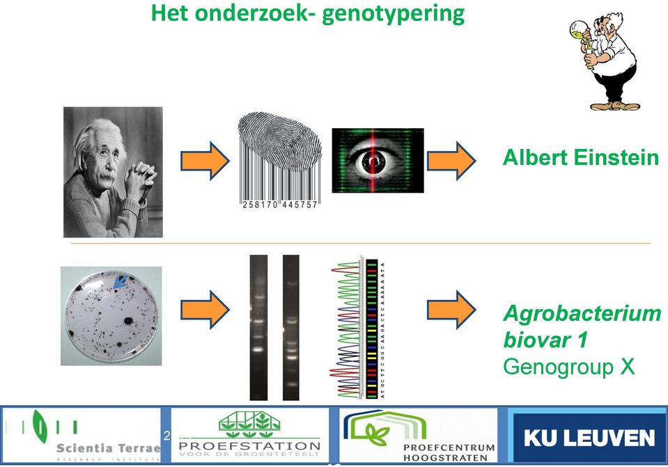 Einstein Agrobacterium