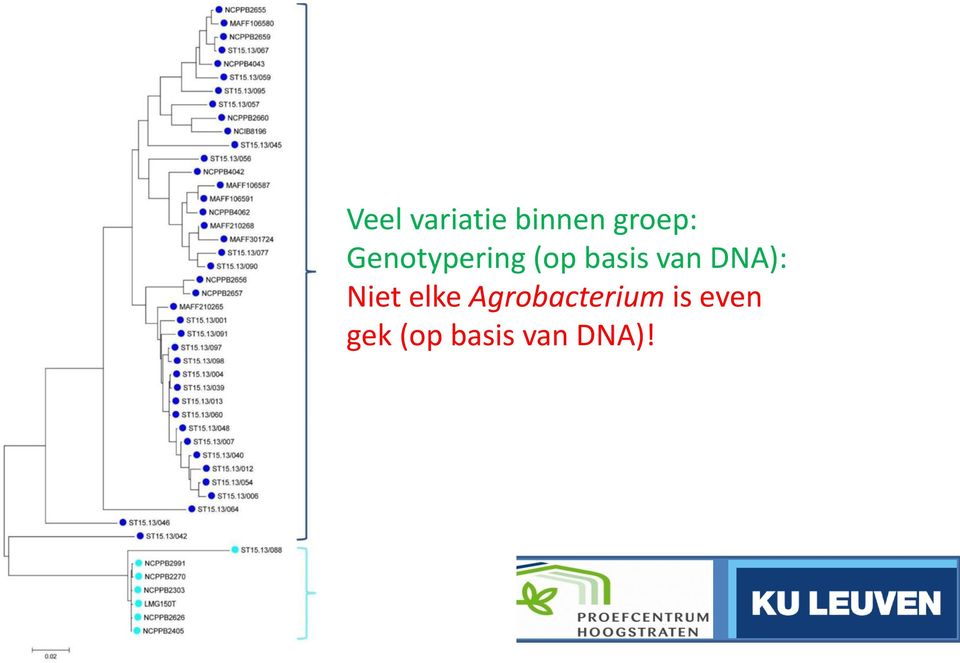 even gek (op basis van DNA)!