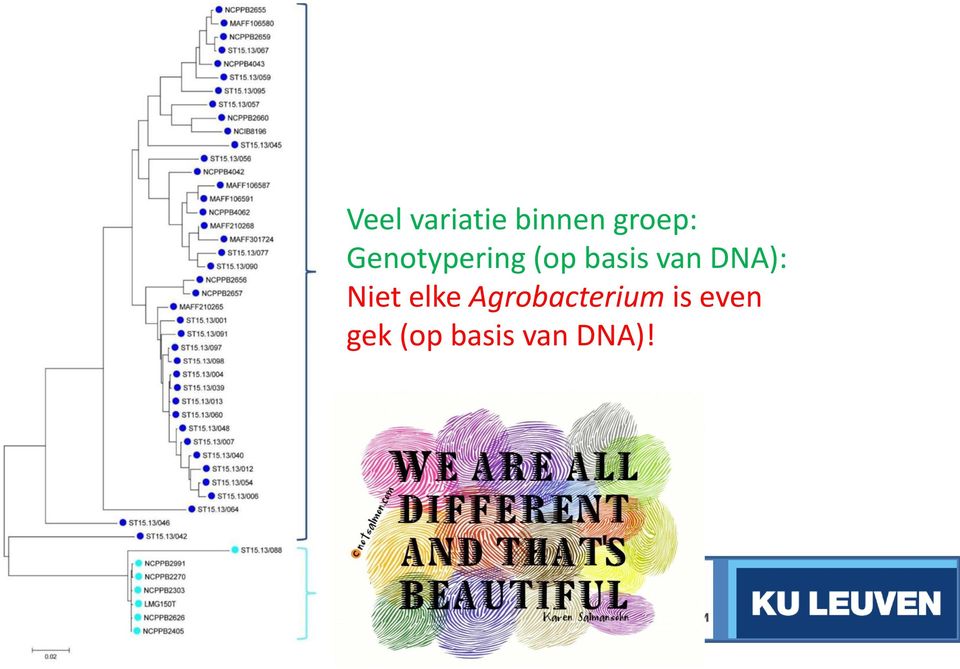 even gek (op basis van DNA)!