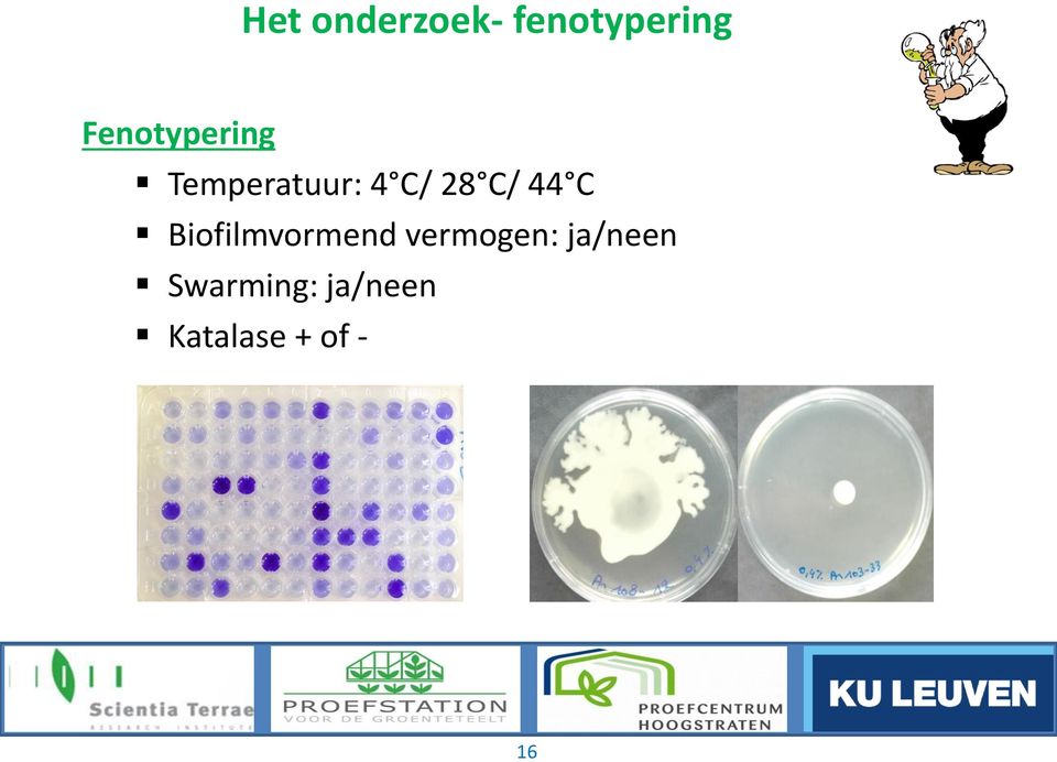 C/ 44 C Biofilmvormend vermogen: