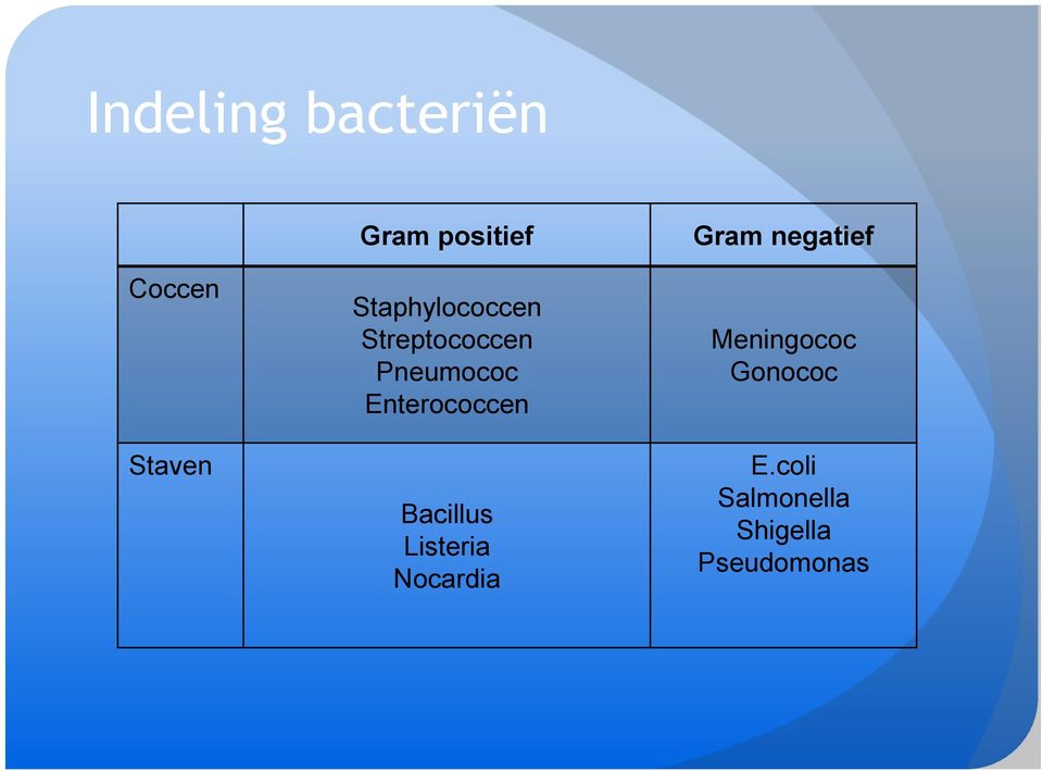 Enterococcen Bacillus Listeria Nocardia Gram