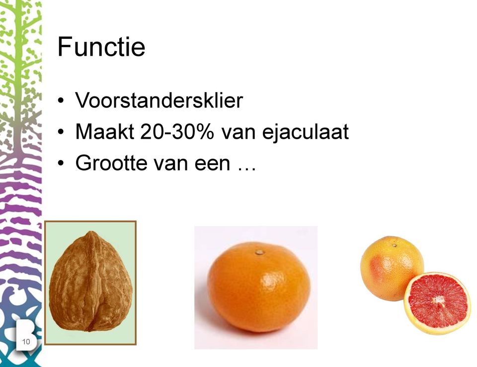 Maakt 20-30% van