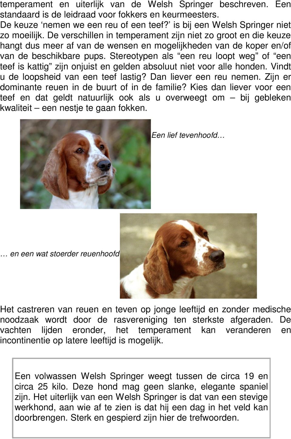 Stereotypen als een reu loopt weg of een teef is kattig zijn onjuist en gelden absoluut niet voor alle honden. Vindt u de loopsheid van een teef lastig? Dan liever een reu nemen.