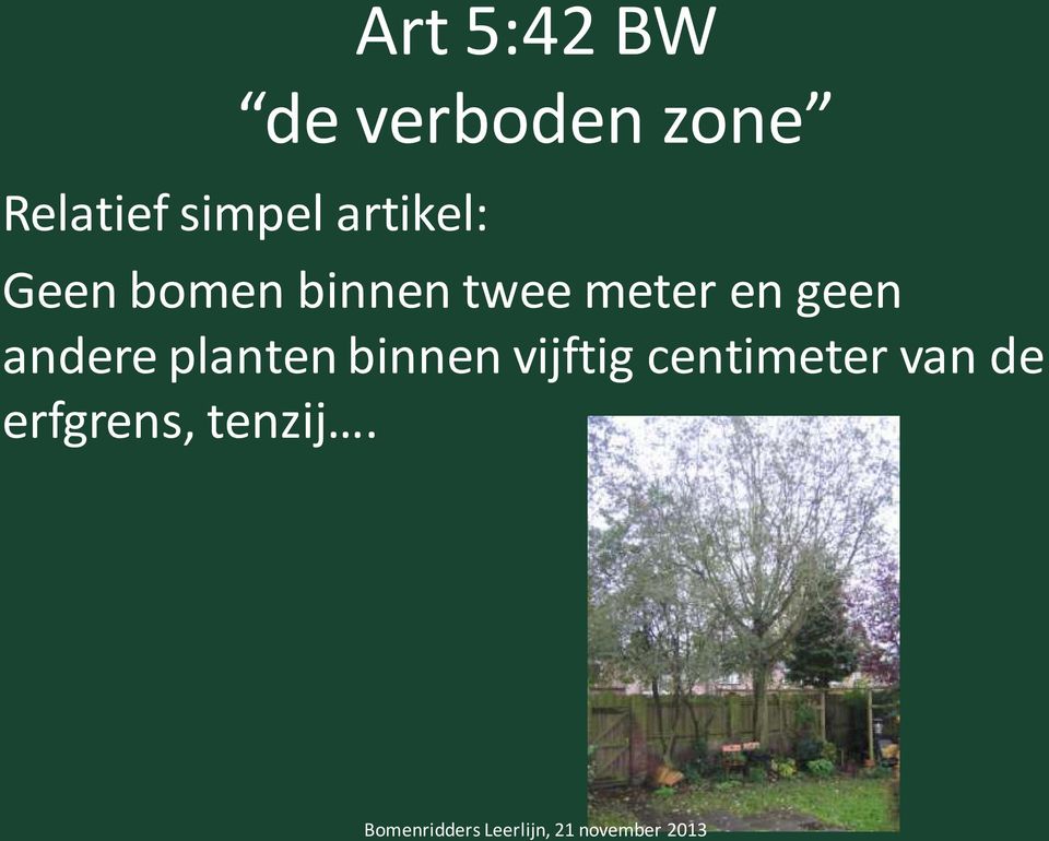 meter en geen andere planten binnen