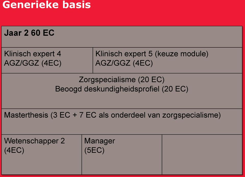 EC) Beoogd deskundigheidsprofiel (20 EC) Masterthesis (3 EC + 7 EC