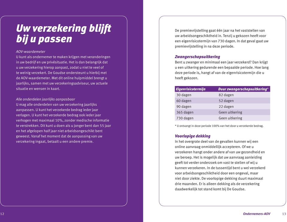 Met dit online hulpmiddel brengt u jaarlijks, samen met uw verzekeringsadviseur, uw actuele situatie en wensen in kaart.