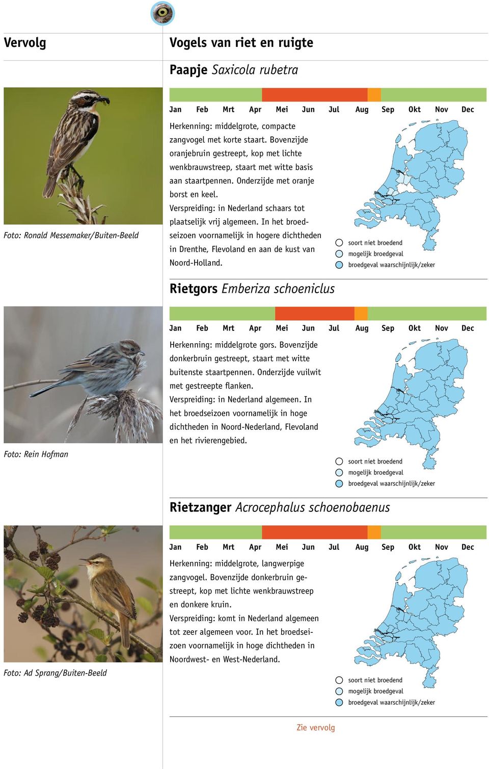 Verspreiding: in Nederland schaars tot plaatselijk vrij algemeen. In het broedseizoen voornamelijk in hogere dichtheden in Drenthe, Flevoland en aan de kust van Noord-Holland.