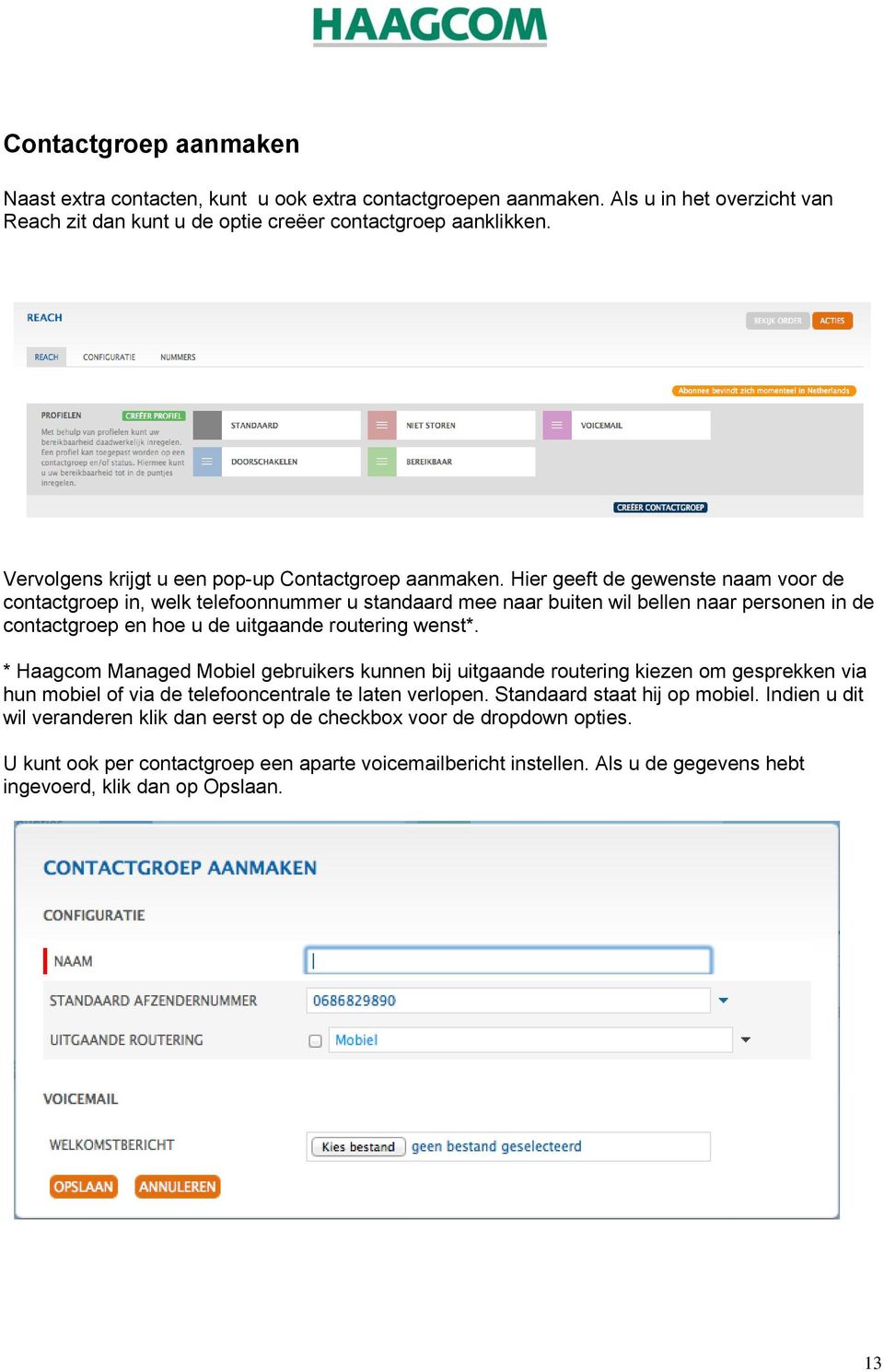 Hier geeft de gewenste naam voor de contactgroep in, welk telefoonnummer u standaard mee naar buiten wil bellen naar personen in de contactgroep en hoe u de uitgaande routering wenst*.