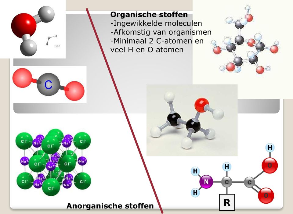 organismen -Minimaal 2 C-atomen