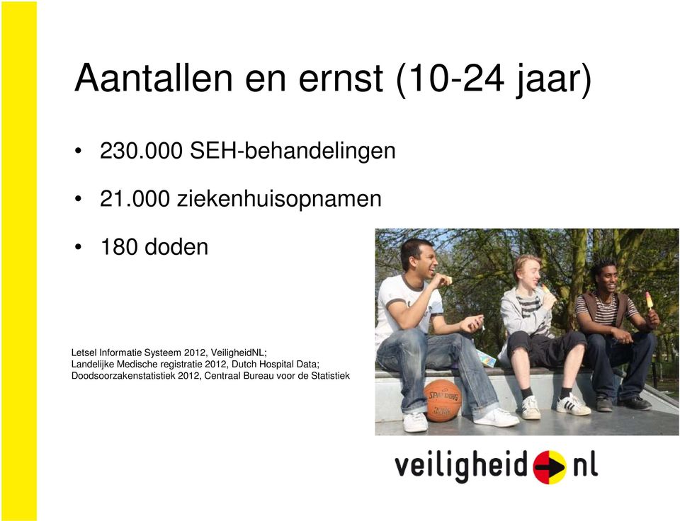 VeiligheidNL; Landelijke Medische registratie 2012, Dutch