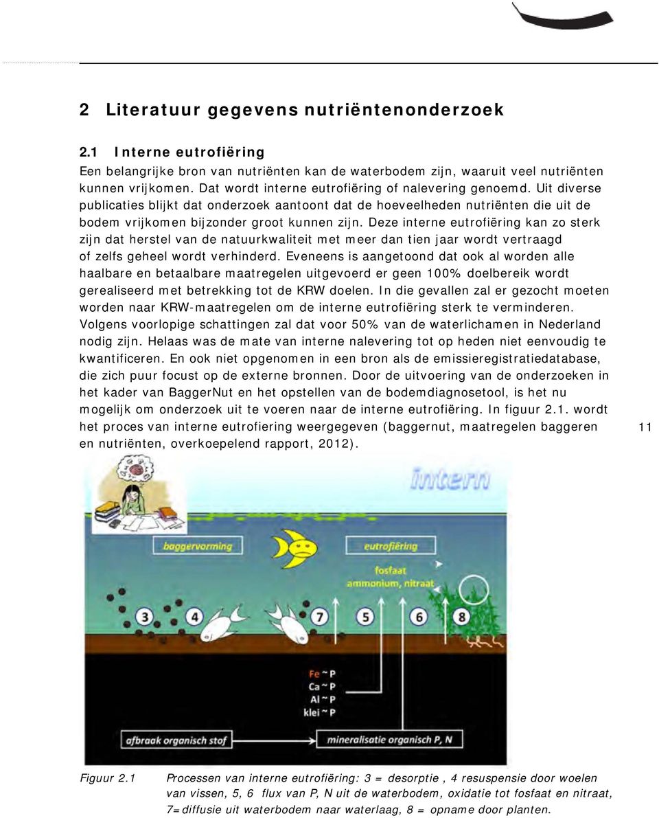 Deze interne eutrofiëring kan zo sterk zijn dat herstel van de natuurkwaliteit met meer dan tien jaar wordt vertraagd of zelfs geheel wordt verhinderd.