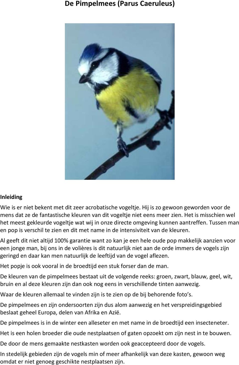 Het is misschien wel het meest gekleurde vogeltje wat wij in onze directe omgeving kunnen aantreffen. Tussen man en pop is verschil te zien en dit met name in de intensiviteit van de kleuren.