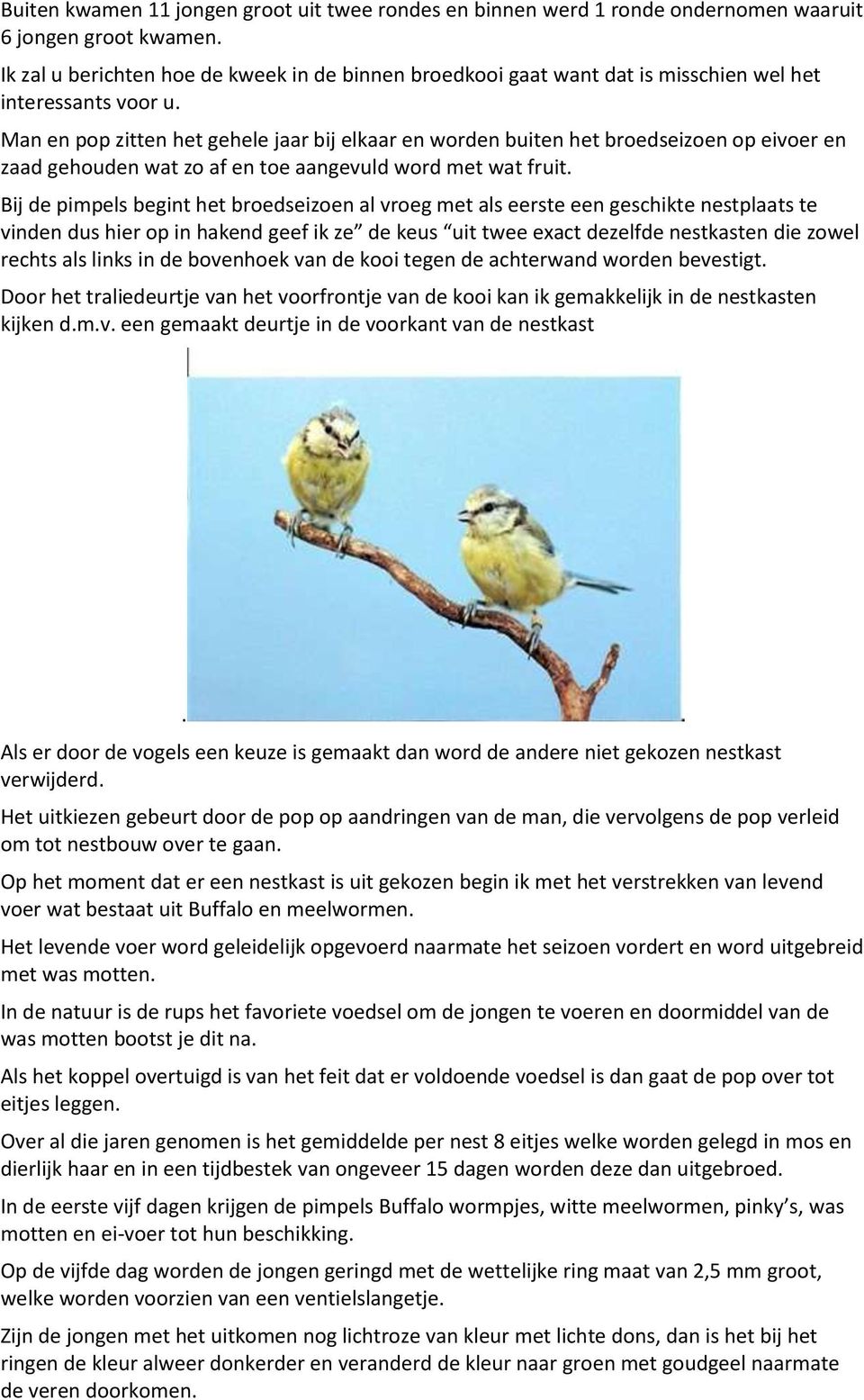 Man en pop zitten het gehele jaar bij elkaar en worden buiten het broedseizoen op eivoer en zaad gehouden wat zo af en toe aangevuld word met wat fruit.