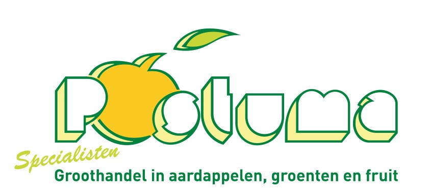 Hollandse groente! Ja hoor, het is er weer tijd voor! De aanvoer van de bekendere Hollandse groente komt weer goed op gang.