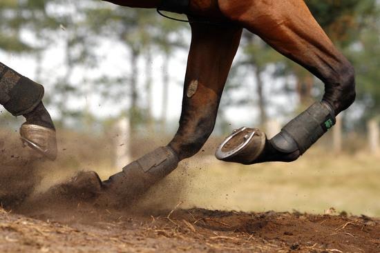 3. Paardensportonderzoek Paardrijden. Uitdaging.