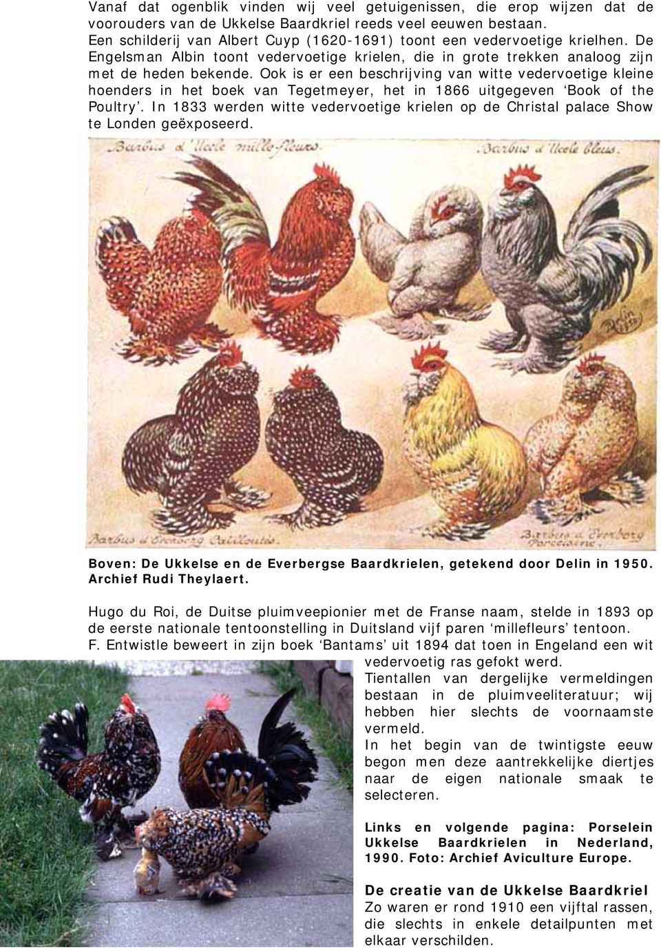 Ook is er een beschrijving van witte vedervoetige kleine hoenders in het boek van Tegetmeyer, het in 1866 uitgegeven Book of the Poultry.