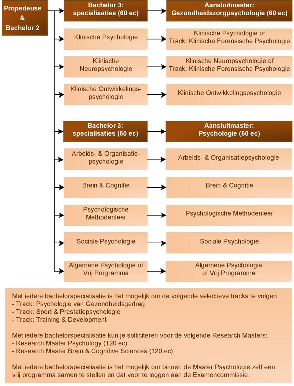 Aansluitmaster: Psychologie () Arbeids- & Organisatiepsychologie Arbeids- & Organisatiepsychologie Brein & Cognitie Brein & Cognitie Psychologische Methodenleer Psychologische Methodenleer Sociale