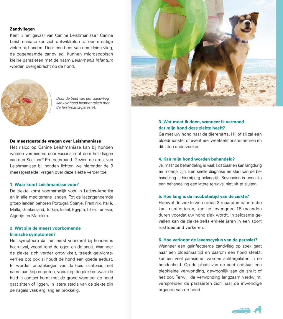 Door de beet van een zandvlieg kan uw hond besmet raken met de leishmania-parasiet.