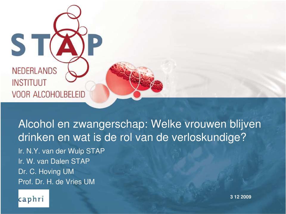 Ir. N.Y. van der Wulp STAP Ir. W. van Dalen STAP Dr.