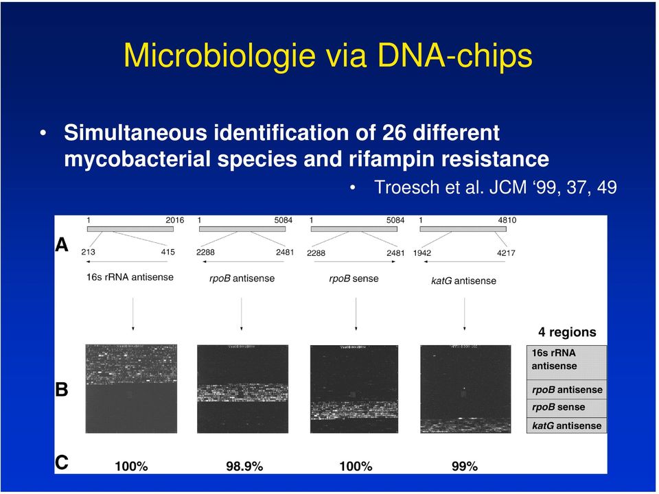 different mycobacterial species and