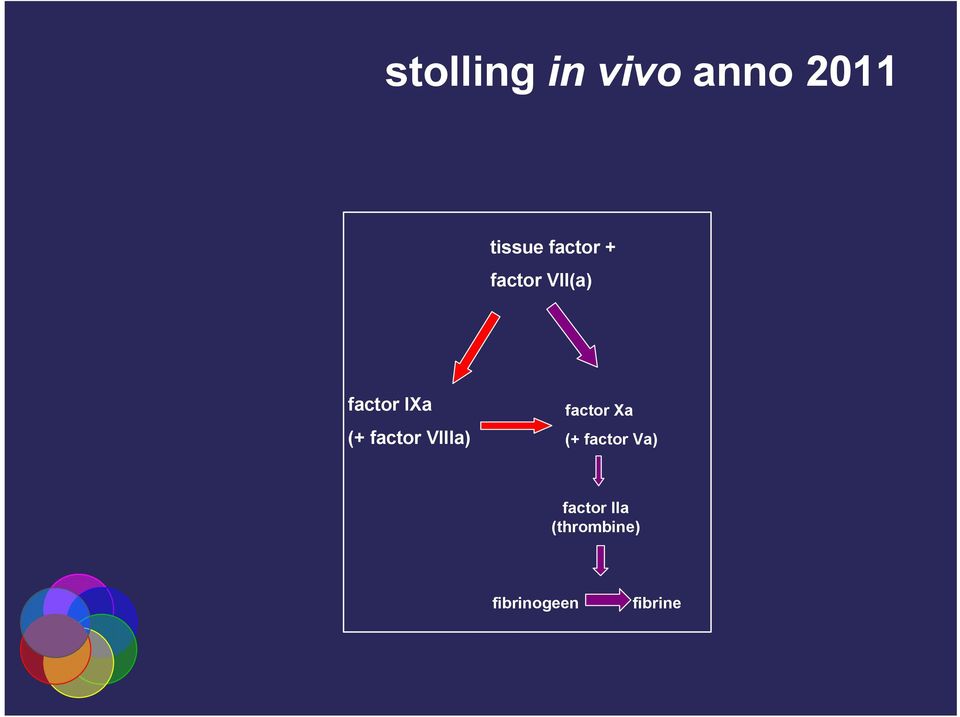 factor VIIIa) factor Xa (+ factor Va)