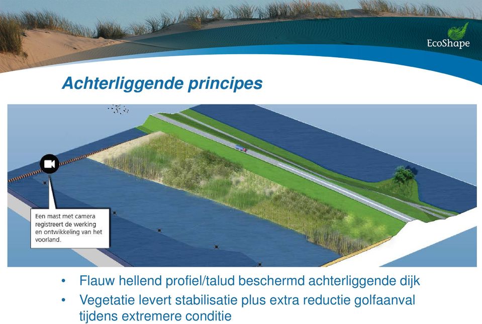 dijk Vegetatie levert stabilisatie plus