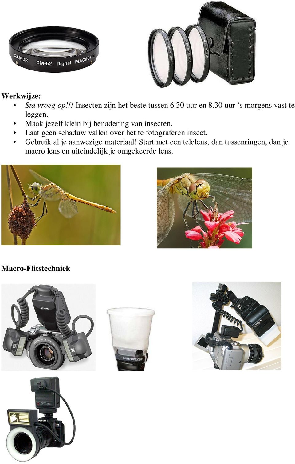 Laat geen schaduw vallen over het te fotograferen insect.