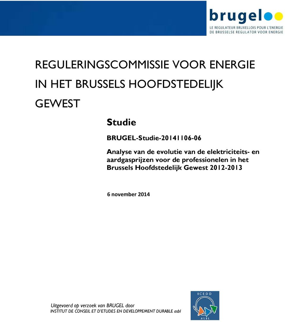 aardgasprijzen voor de professionelen in het Brussels Hoofdstedelijk Gewest 2012-2013 6