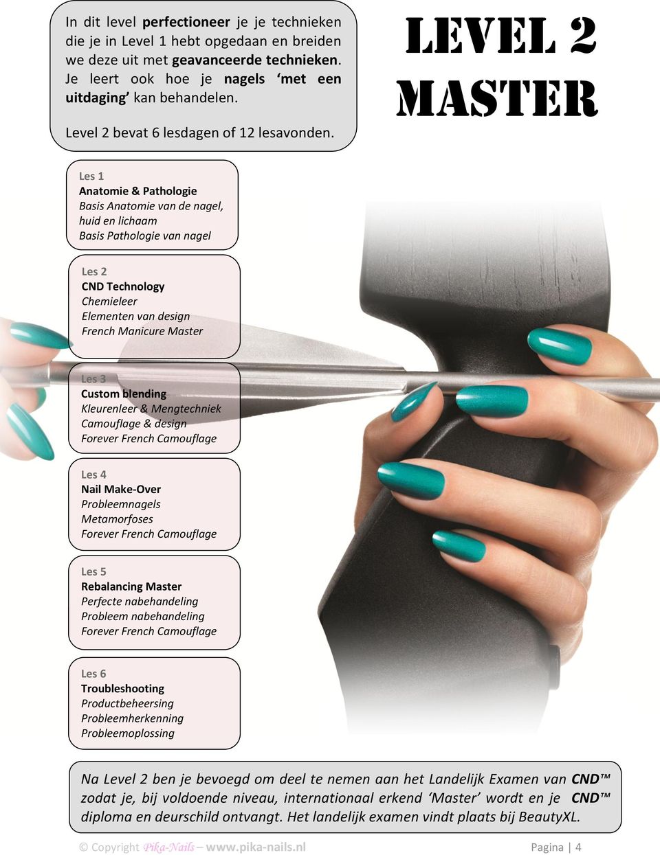 Level 2 Master Les 1 Anatomie & Pathologie Basis Anatomie van de nagel, huid en lichaam Basis Pathologie van nagel Les 2 CND Technology Chemieleer Elementen van design French Manicure Master Les 3