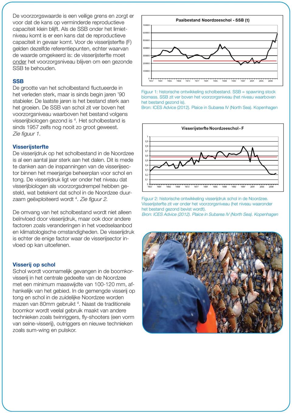 Voor de visserijsterfte (F) gelden dezelfde referentiepunten, echter waarvan de waarde omgekeerd is: de visserijsterfte moet onder het voorzorgsniveau blijven om een gezonde SSB te behouden.