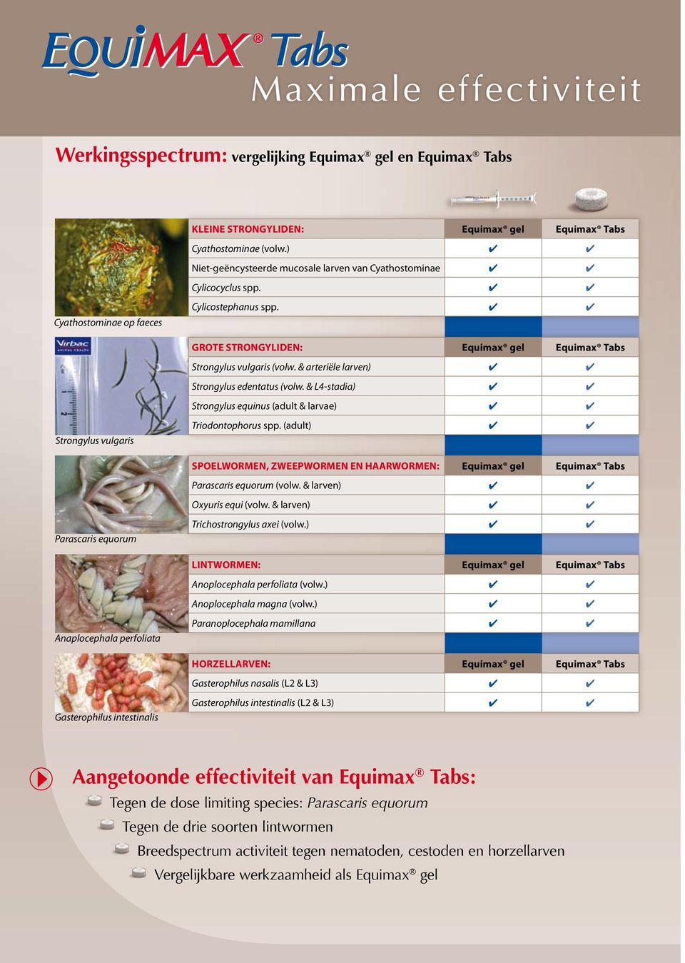 & arteriële larven) Strongylus edentatus (volw. & L4-stadia) Strongylus equinus (adult & larvae) Strongylus vulgaris Triodontophorus spp.