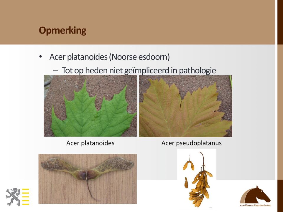 niet geïmpliceerd in pathologie