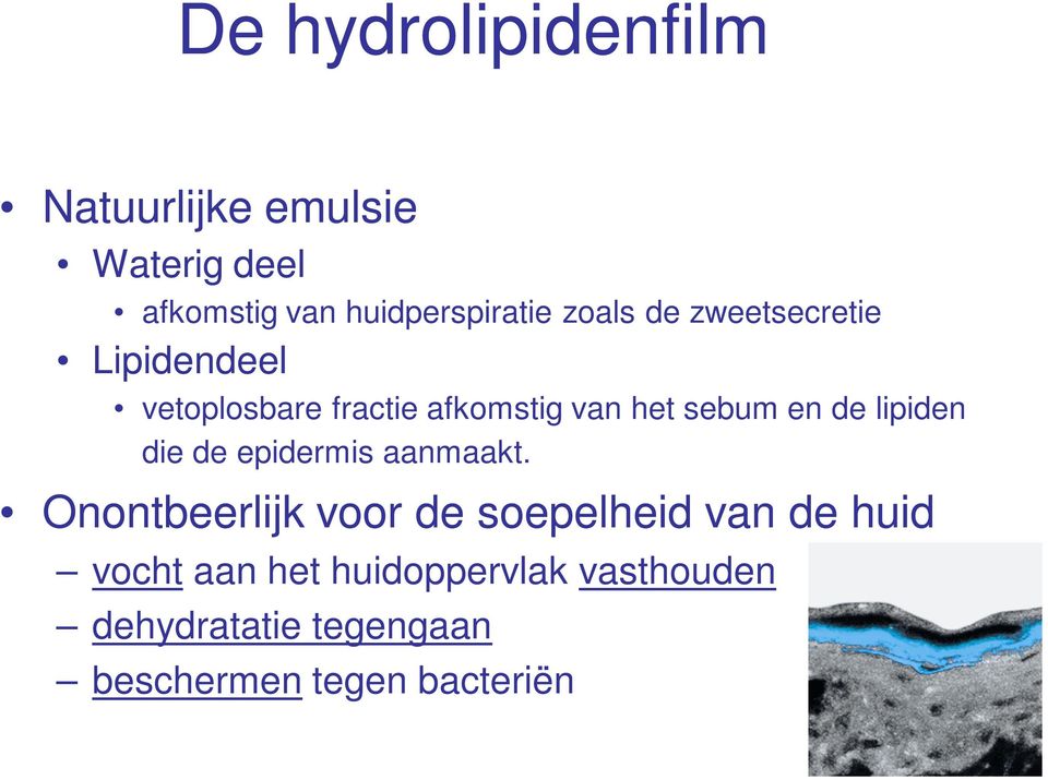 sebum en de lipiden die de epidermis aanmaakt.