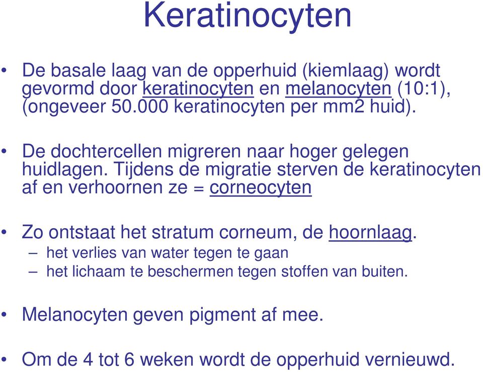 Tijdens de migratie sterven de keratinocyten af en verhoornen ze = corneocyten Zo ontstaat het stratum corneum, de hoornlaag.