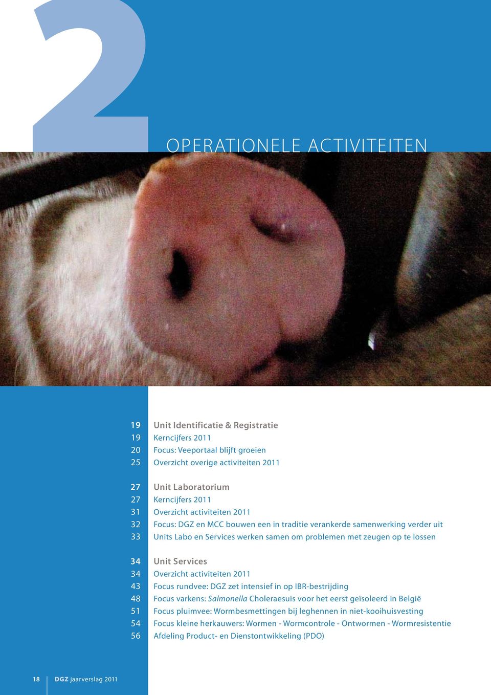 34 43 48 51 54 56 Unit Services Overzicht activiteiten 2011 Focus rundvee: DGZ zet intensief in op IBR-bestrijding Focus varkens: Salmonella Choleraesuis voor het eerst geïsoleerd in België Focus