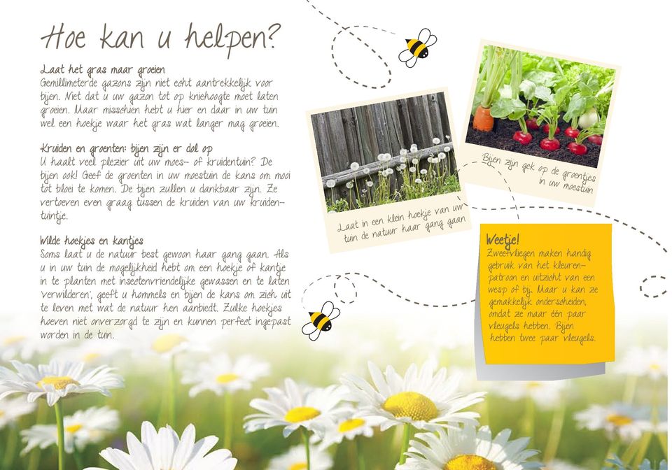 De bijen ook! Geef de groenten in uw moestuin de kans om mooi tot bloei te komen. De bijen zullen u dankbaar zijn. Ze vertoeven even graag tussen de kruiden van uw kruidentuintje.