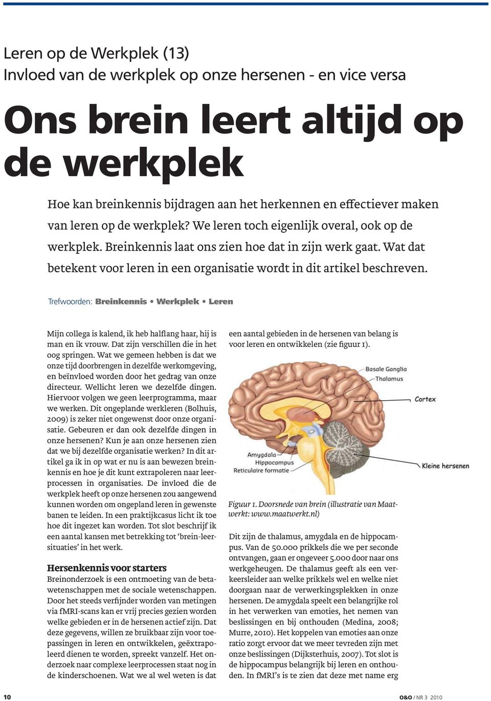 Trefwoorden: Breinkennis Werkplek Leren Mijn collega is kalend, ik heb halflang haar, hij is man en ik vrouw. Dat zijn verschillen die in het oog springen.