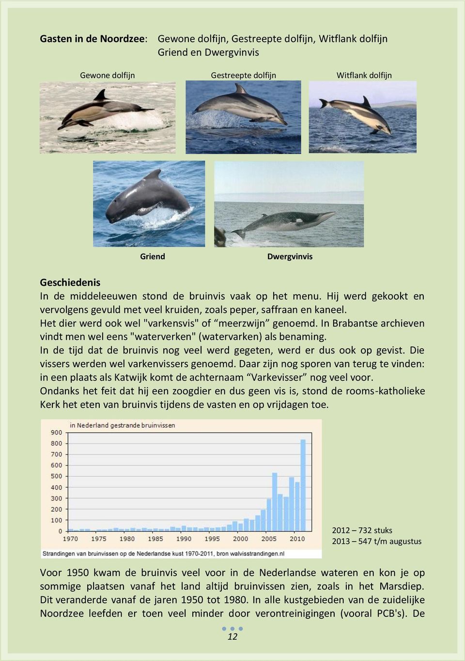 In Brabantse archieven vindt men wel eens "waterverken" (watervarken) als benaming. In de tijd dat de bruinvis nog veel werd gegeten, werd er dus ook op gevist.