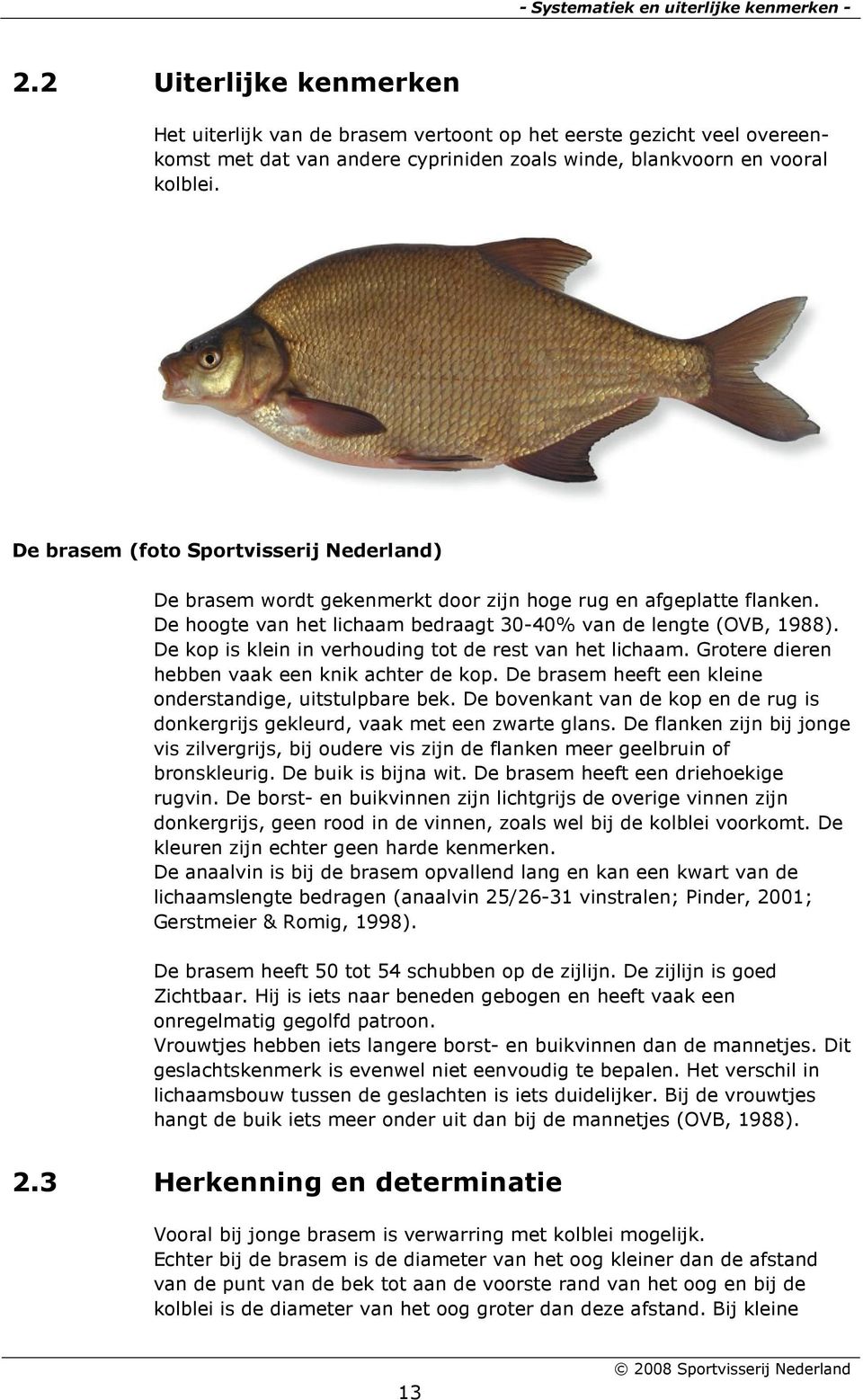De brasem (foto Sportvisserij Nederland) De brasem wordt gekenmerkt door zijn hoge rug en afgeplatte flanken. De hoogte van het lichaam bedraagt 30-40% van de lengte (OVB, 1988).