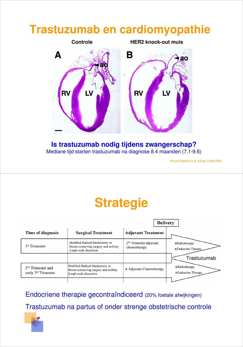 6) Piccart-Gebhart et al, N Engl J Med 2005 Strategie Trastuzumab Endocriene therapie