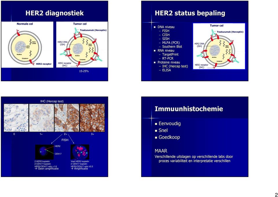 IHC (Hercep test) Immuunhistochemie 0 1+ 2+ 3+ FISH Eenvoudig Snel Goedkoop HER2 CEN17 2 HER2 kopieën 2 CEN17 kopieën HER2/CEN17 ratio <1.