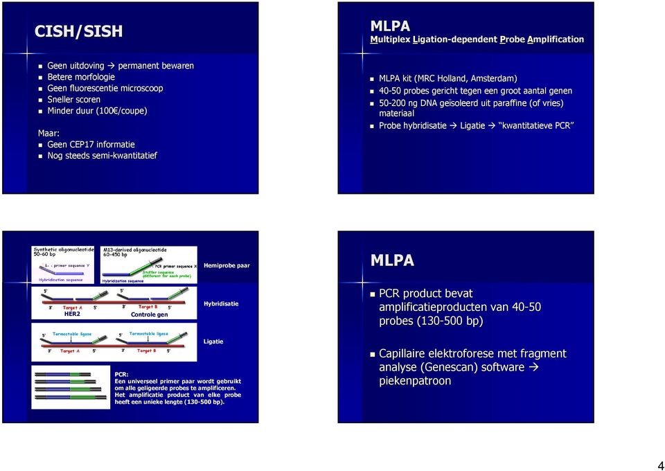 hybridisatie Ligatie kwantitatieve PCR Hemiprobe paar MLPA HER2 Controle gen Hybridisatie PCR product bevat amplificatieproducten van 40-50 probes (130-500 bp) Ligatie PCR: Een universeel primer paar