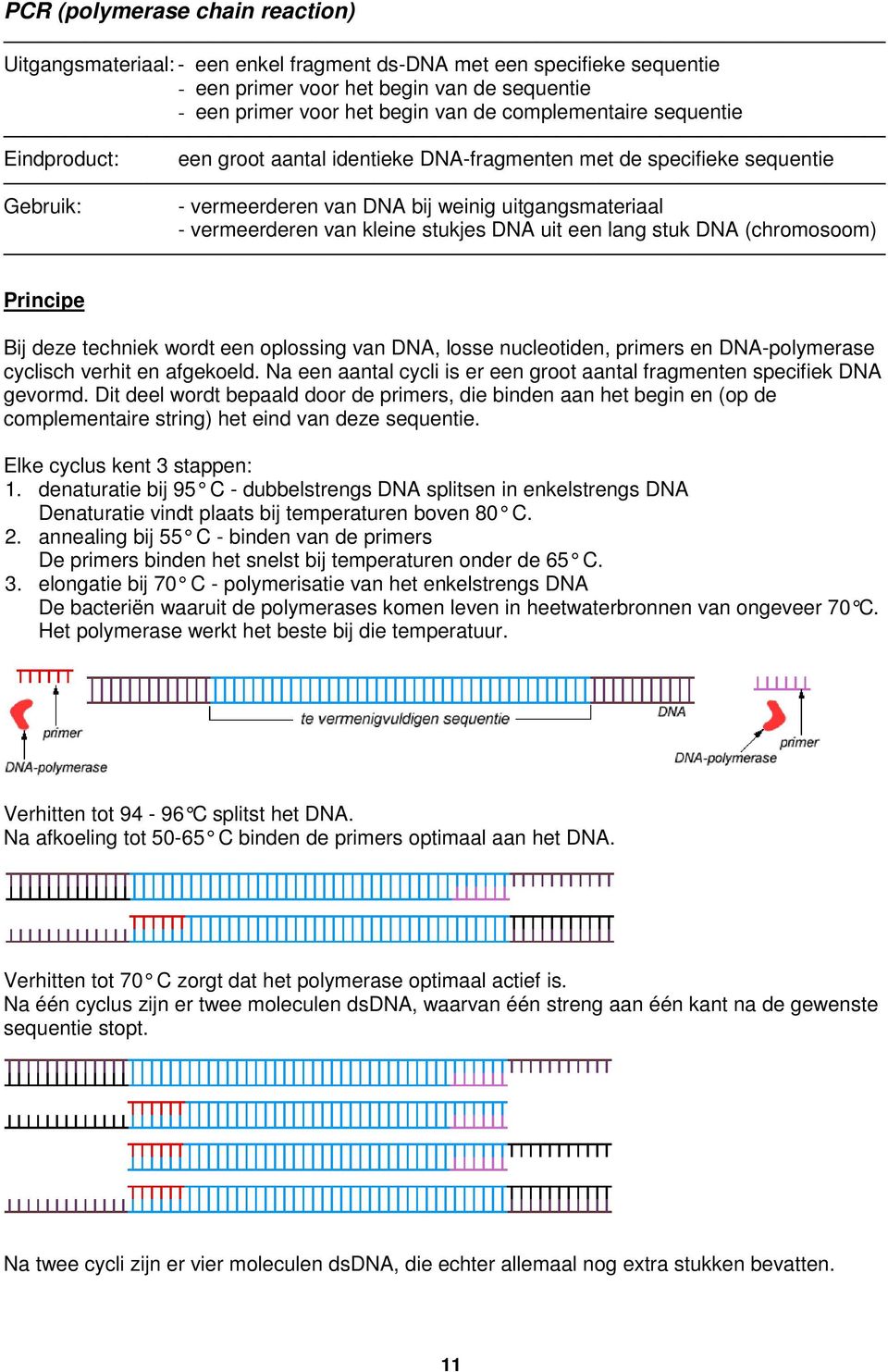 stukjes DNA uit een lang stuk DNA (chromosoom) Principe Bij deze techniek wordt een oplossing van DNA, losse nucleotiden, primers en DNA-polymerase cyclisch verhit en afgekoeld.