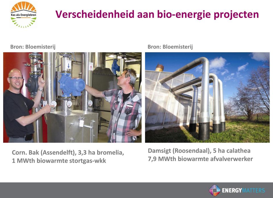 Bak (Assendelft), 3,3 ha bromelia, 1 MWth biowarmte