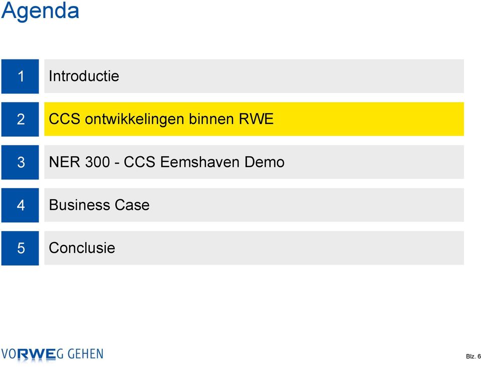 NER 300 - CCS Eemshaven Demo