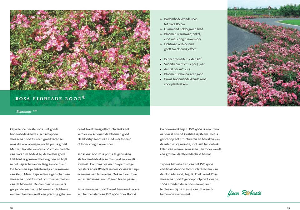 tweekleurig effect. Ondanks het Co boomkwekerijen. ISO 9001 is een inter- bodembedekkende eigenschappen. verbloeien schonen de bloemen goed. nationaal erkend kwaliteitssysteem.