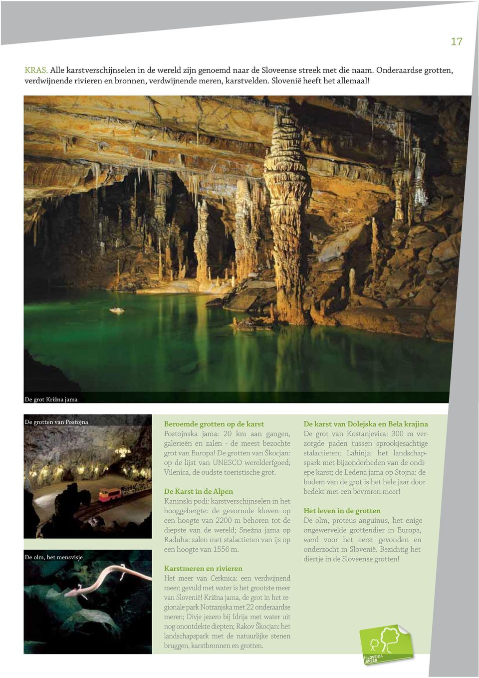 De grot Križna jama De grotten van Postojna De olm, het mensvisje Beroemde grotten op de karst Postojnska jama: 20 km aan gangen, galerieën en zalen - de meest bezochte grot van Europa!