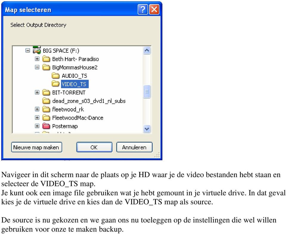 In dat geval kies je de virtuele drive en kies dan de VIDEO_TS map als source.