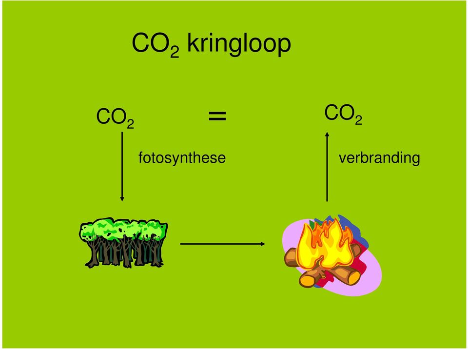 fotosynthese