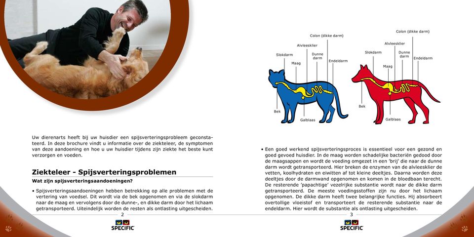 In deze brochure vindt u informatie over de ziekteleer, de symptomen van deze aandoening en hoe u uw huisdier tijdens zijn ziekte het beste kunt verzorgen en voeden.